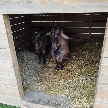 Bed and Breakfast - Proche Circuit - Au Calme