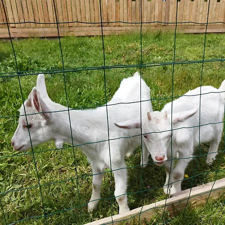 - Proche Circuit - Au Calme Bed & Breakfast Spay